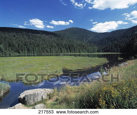 Stock Image - Lake water reflecting cloudy sky in a valley, Bavaria, Germany . Fotosearch