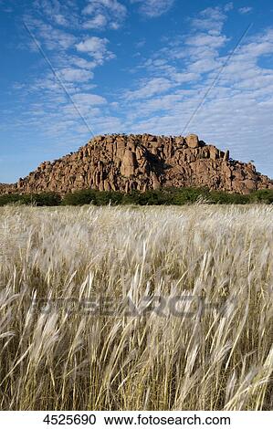 Stock Image - Landscape with mountain at Twyfelfontein, Damaraland, Namibia . Fotosearch