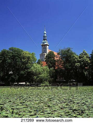 Stock Photo - Lily pads in pond with church in background, Brandenburg, Germany . Fotosearch