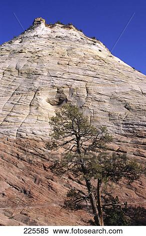 Low angle view of rock formation, Mesa, Zion National Park, Utah, Usa View Large Photo Image Stock Photography - Low angle view of rock formation, Mesa, Zion National Park, Utah, Usa . Fotosearch