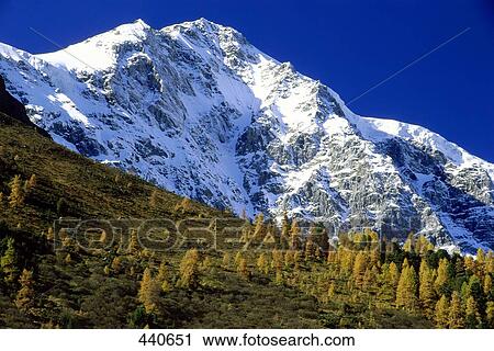 Low angle view of snowcapped mountain, Mt Ortler, Stelvio Pass, Stilfserjoch National Park, South Tyrol, Italy View Large Photo Image Stock Image - Low angle view of snowcapped mountain, Mt Ortler, Stelvio Pass, Stilfserjoch National Park, South Tyrol, Italy . Fotosearch