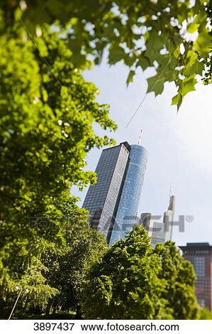 Stock Photo - Main Tower behind trees, Frankfurt am Main, Germany . Fotosearch