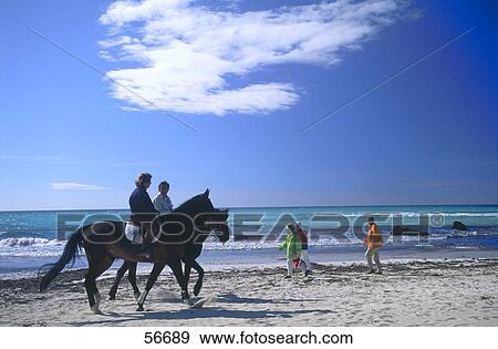 Man and woman riding horse on beach, Majorca, Balearic Islands, Spain View Large Photo Image Stock Photo - Man and woman riding horse on beach, Majorca, Balearic Islands, Spain . Fotosearch