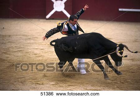 Stock Photograph - Matador bullfighting in arena, Souprosse, France . Fotosearch