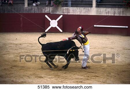 Matador bullfighting in arena, Souprosse, France View Large Photo Image Stock Photography - Matador bullfighting in arena, Souprosse, France . Fotosearch