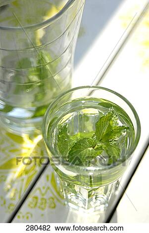 Mint leaves in glass of water View Large Photo Image Stock Image - Mint leaves in glass of water . Fotosearch
