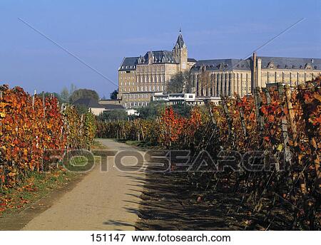 Stock Photo - Path through vineyard leading to palace, Bad Neuenahr-Ahrweiler, Rhineland-Palatinate, Germany . Fotosearch