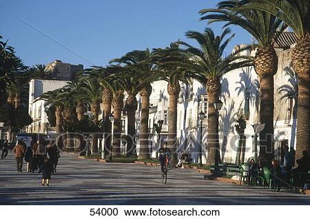 People on palm tree boulevard, Andalusia, Spain View Large Photo Image Stock Image - People on palm tree boulevard, Andalusia, Spain . Fotosearch