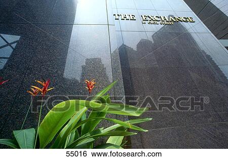 Stock Photograph - Potted plant in front of stock exchange building, Singapore . Fotosearch