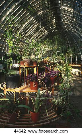 Potted plants in greenhouse of hotel, Hotel Camin Colmegna, Lake Maggiore, Italy View Large Photo Image Stock Image - Potted plants in greenhouse of hotel, Hotel Camin Colmegna, Lake Maggiore, Italy . Fotosearch