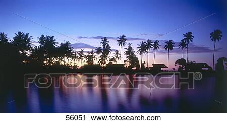 Stock Image - Reflection of trees and sky in water, Bali, Indonesia . Fotosearch