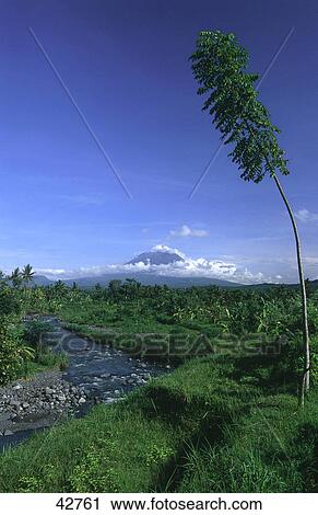 Stock Image - River flowing through forest, Mount Agung, Amlapura, Bali, Indonesia . Fotosearch