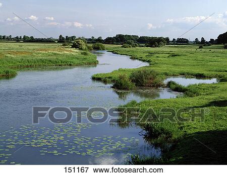 River flowing through grassy landscape, River Aller, Verden, Lower Saxony, Germany View Large Photo Image Stock Photo - River flowing through grassy landscape, River Aller, Verden, Lower Saxony, Germany . Fotosearch