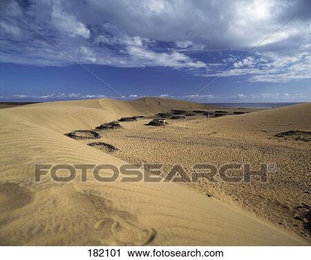 Sand dunes at seaside, Maspalomas, Gran Canaria, Canary Islands, Spain View Large Photo Image Stock Image - Sand dunes at seaside, Maspalomas, Gran Canaria, Canary Islands, Spain . Fotosearch
