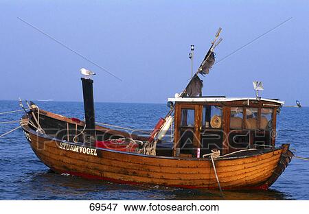 Seagull perching on fishing boat, Ahlbeck, Usedom, Mecklenburg-Western Pomerania, Germany View Large Photo Image Stock Photo - Seagull perching on fishing boat, Ahlbeck, Usedom, Mecklenburg-Western Pomerania, Germany . Fotosearch