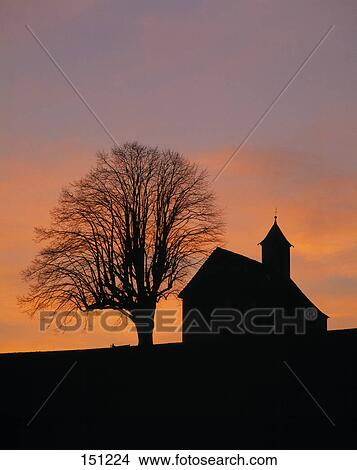 Picture - Silhouette of tree near chapel, Amtzell, Upper Swabia, Baden-Wurttemberg, Germany . Fotosearch