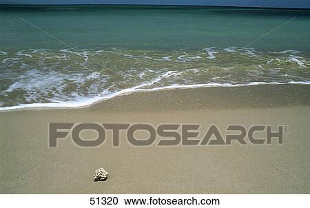 Stone on beach, Sawu Island, Indonesia  View Large Photo Image Stock Image - Stone on beach, Sawu Island, Indonesia . Fotosearch