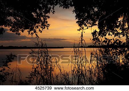 Sunrise at Okavango Delta, Botswana View Large Photo Image Stock Photo - Sunrise at Okavango Delta, Botswana . Fotosearch