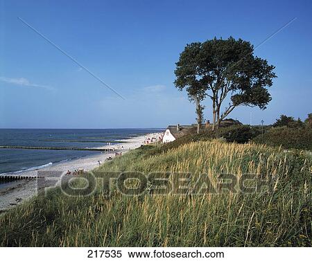Tourist resort at seaside, Ahrenshoop, Mecklenburg-Vorpommern, Germany View Large Photo Image Stock Photography - Tourist resort at seaside, Ahrenshoop, Mecklenburg-Vorpommern, Germany . Fotosearch