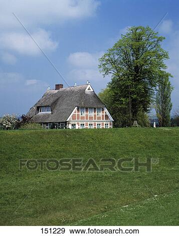 Traditional house in field, Elbe River, Altengamme, Bergedorf, Vierlande, Hamburg, Germany View Large Photo Image Stock Photo - Traditional house in field, Elbe River, Altengamme, Bergedorf, Vierlande, Hamburg, Germany . Fotosearch