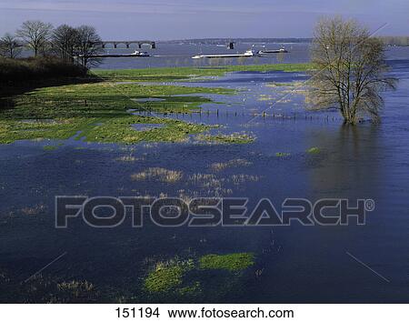 Tree and boats in river, Wesel, North Rhine-Westphalia, Germany View Large Photo Image Picture - Tree and boats in river, Wesel, North Rhine-Westphalia, Germany . Fotosearch
