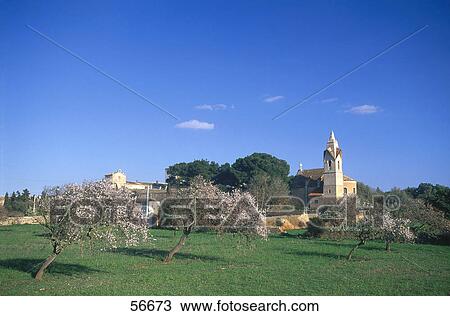 Trees in a field with a church in the background View Large Photo Image Stock Image - Trees in a field with a church in the background . Fotosearch
