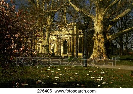 Stock Photograph - Trees in park, Bruhl Terrace, Dresden, Saxony, Germany . Fotosearch