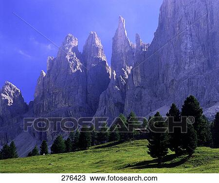 Trees on landscape, Mt Vajolett, Dolomites, South Tyrol, Italy View Large Photo Image Stock Image - Trees on landscape, Mt Vajolett, Dolomites, South Tyrol, Italy . Fotosearch