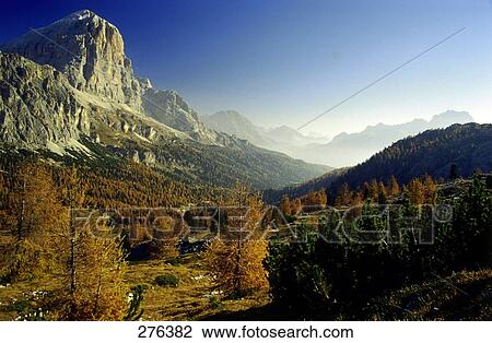 Stock Image - Trees on mountains, Dolomites, South Tyrol, Italy . Fotosearch
