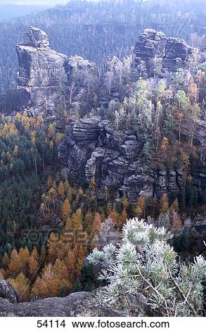 Picture - Trees on mountains, Mt Papststein, Saxony, Germany . Fotosearch
