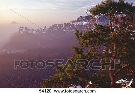 Trees on mountains, Mt Schrammsteinen, Saxony, Germany View Large Photo Image Stock Image - Trees on mountains, Mt Schrammsteinen, Saxony, Germany . Fotosearch