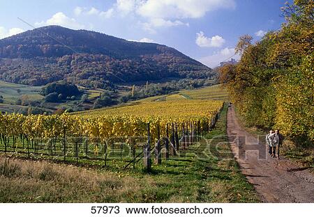 Stock Image - Two people walking on dirt road, Pfaelzerwald, Pfalz, Germany . Fotosearch