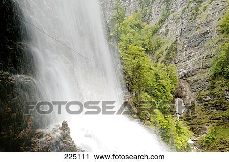 Stock Image - Waterfall in forest, Austria . Fotosearch