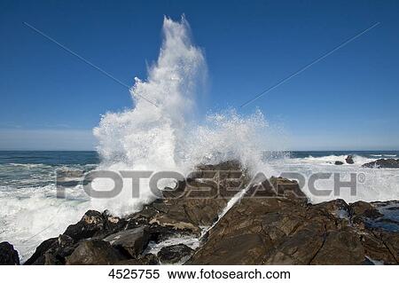 Waves crushing at boulders in West Coast National Park, South Africa View Large Photo Image Stock Photography - Waves crushing at boulders in West Coast National Park, South Africa . Fotosearch