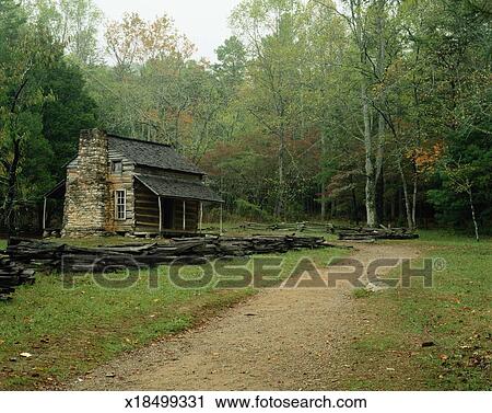 Usa Tennessee Great Smoky Mountains National Park John Oliver