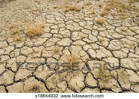 stock photo of dry