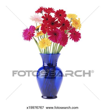 Daisies In A Vase