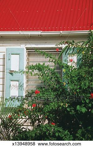 Flowers outside a house with red roof, St. Gustavia, St. Barts Stock Photo
