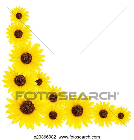 Download Sunflower Corner Border Stock Image | x20356082 | Fotosearch