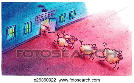 Cloning Sheep Drawing | x26360022 | Fotosearch