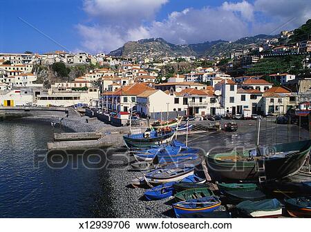 camara, de, lobos, porto, madeira, portugal Ampliar Foto Banco de Imagem - camara, de, lobos, porto, madeira, portugal. Fotosearch - Busca de Fotografias, Fotografia Poster, Imagens e Fotos Clip Art