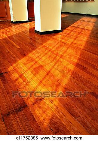 Sunlight Shining On Hardwood Floor Stock Photography X11752885