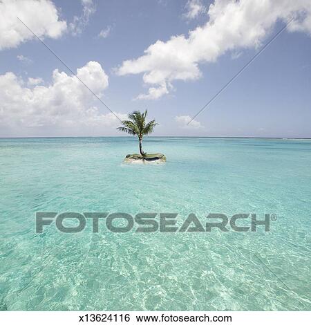 Saipan Small Island With Palm Tree In Sea Stock Photograph