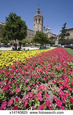 Spain Valencia Flowers On Plaza De La Reina Cathedral And El