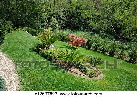 Image - aménagé, jardin, pente, plante, paume, japonaise, maman ... Image - aménagé, jardin, pente, plante, paume, japonaise, maman ...