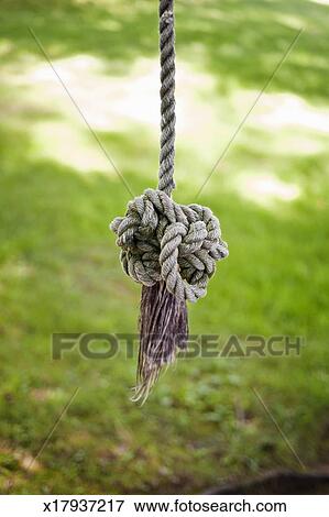 Knot Of Rope Swing Stock Photo