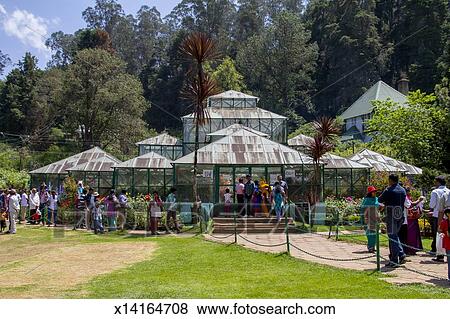 Govt Botanischer Garten Glashaus Ooty Stock Foto X14164708