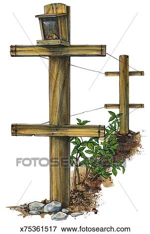 Himbeere Gitter Stock Illustration X75361517 Fotosearch