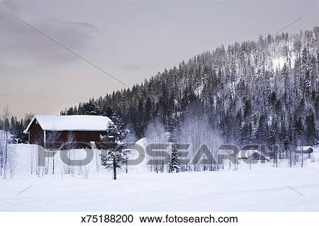 Weak Winter Sun Rises On A Frozen Arctic Lake Dotted With Log