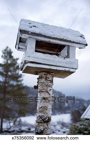 Bird Feeder Covered In Snow Stock Image X75356092 Fotosearch